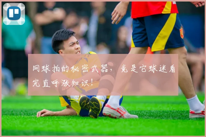 网球拍的秘密武器,竟是它球迷看完直呼涨知识!